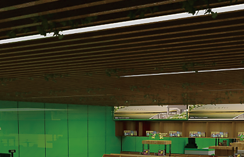LG05BN LED BATTEN MONDATE