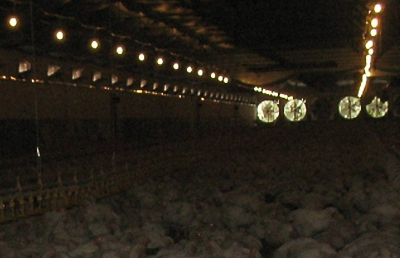 LUME LED LED LG08K